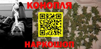 мяу мяу мука Нальчик