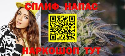 мяу мяу мука Нальчик
