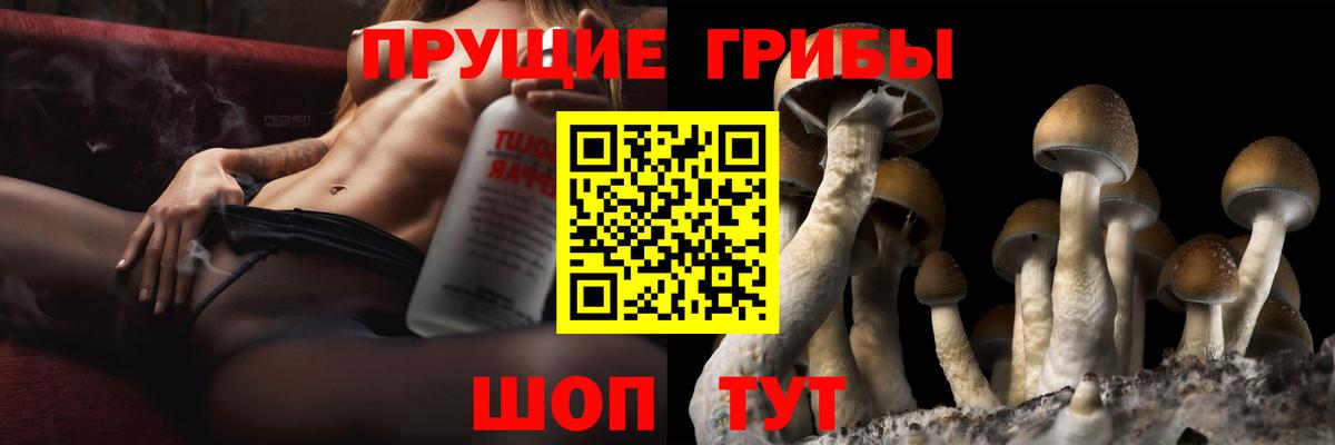 Псилоцибиновые грибы мицелий Серпухов
